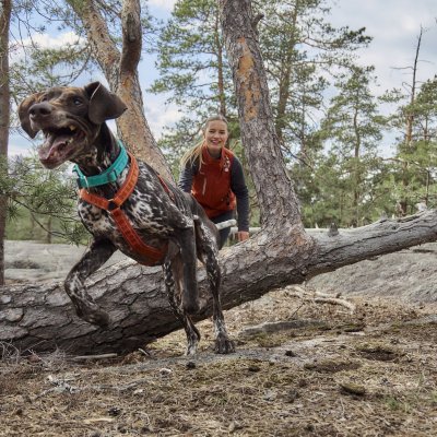 Zoom bild av Hurtta Casual Y-harness ECO Detail