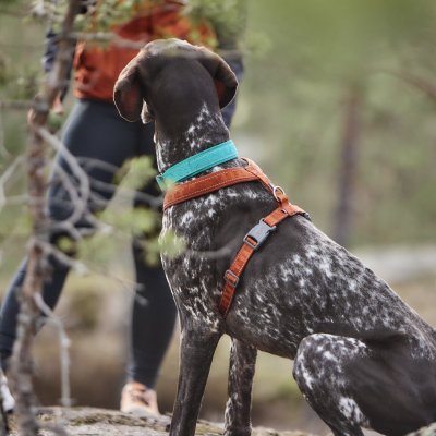 Zoom bild av Hurtta Casual Y-harness ECO Detail