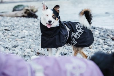 Zoom bild av Hurtta Drizzle Rain Coat, Raven Svart