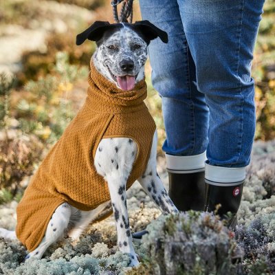 Zoom bild av hurtta warming midlayer eco desert gul öken orange saffran folie värmereflekterande jersey värmande mjuk bekväm kallt väder mell