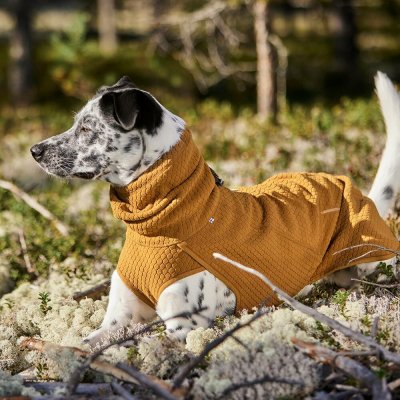 Zoom bild av hurtta warming midlayer eco desert gul öken orange saffran folie värmereflekterande jersey värmande mjuk bekväm kallt väder mell