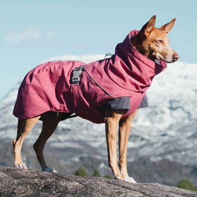 Zoom bild av hundtäcke vintertäcke orange havtorn buckthorn hurtta varmt hundtäcke kallt väder frusen hund temotäcke reflex vattentätt hurtta