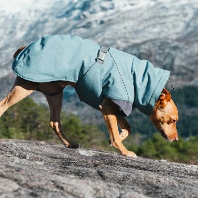 Zoom bild av hundtäcke vintertäcke orange havtorn buckthorn hurtta varmt hundtäcke kallt väder frusen hund temotäcke reflex vattentätt hurtta
