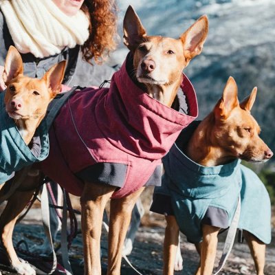 Zoom bild av hundtäcke vintertäcke grå mörkgrå hurtta varmt hundtäcke kallt väder frusen hund temotäcke reflex vattentätt hurtta expedition p