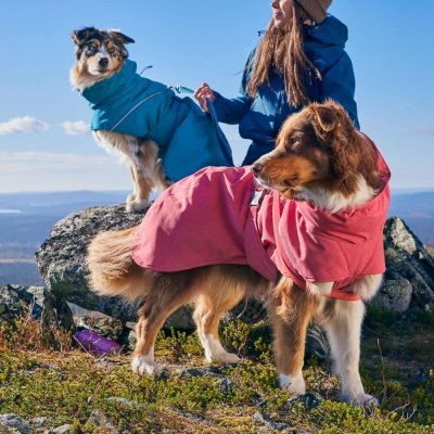 Zoom bild av hundtäcke vintertäcke parsley persilja grön hurtta varmt hundtäcke kallt väder frusen hund temotäcke reflex vattentätt hurtta ex