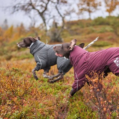 hurtta extreme overall eggplant vinröd mörklila hundoverall snöväder hund vinter kallt värmande hundkläder hundtäcke dräkt för b