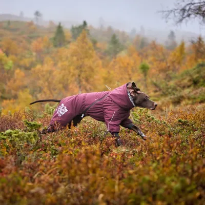 hurtta extreme overall eggplant vinröd mörklila hundoverall snöväder hund vinter kallt värmande hundkläder hundtäcke dräkt för b