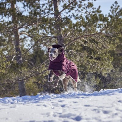 Zoom bild av hurtta hundtäcke täcke hund vintertäcke varmt dog coat winter eggplant vinröd varmt återvunnet tyg