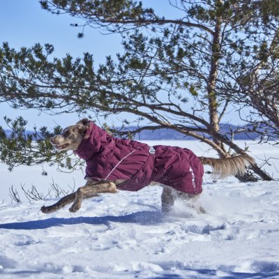 Zoom bild av hurtta hundtäcke täcke hund vintertäcke varmt dog coat winter eggplant vinröd varmt återvunnet tyg