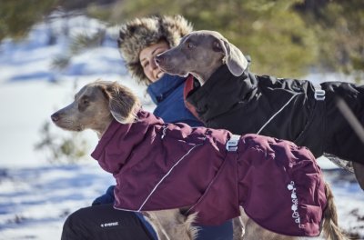 Zoom bild av hurtta hundtäcke täcke hund vintertäcke varmt dog coat winter eggplant vinröd varmt återvunnet tyg