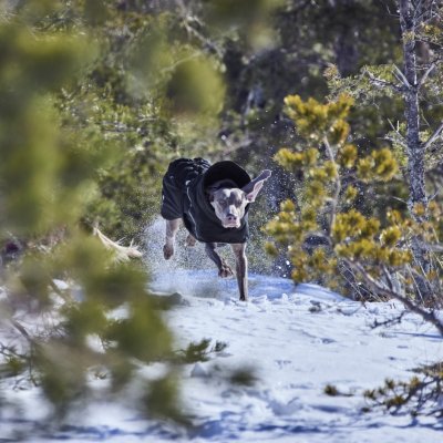 Zoom bild av hurtta hundtäcke täcke hund vintertäcke varmt dog coat winter black raven svart varmt återvunnet tyg