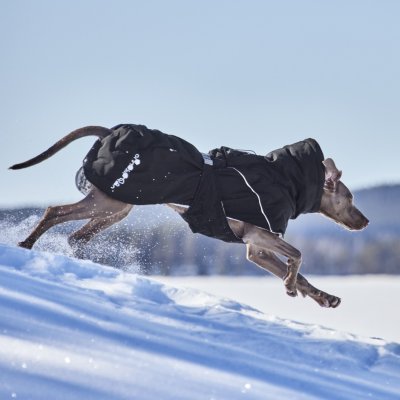 Zoom bild av hurtta hundtäcke täcke hund vintertäcke varmt dog coat winter black raven svart varmt återvunnet tyg