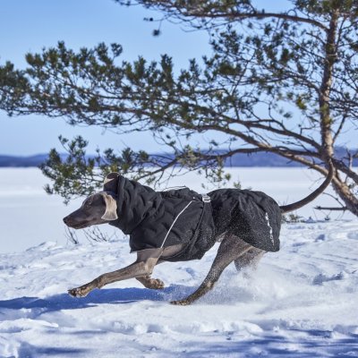 Zoom bild av hurtta hundtäcke täcke hund vintertäcke varmt dog coat winter black raven svart varmt återvunnet tyg