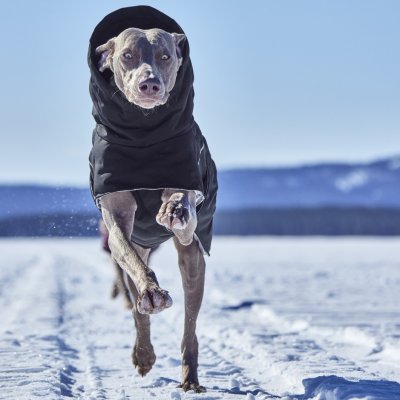 Zoom bild av hurtta hundtäcke täcke hund vintertäcke varmt dog coat winter black raven svart varmt återvunnet tyg