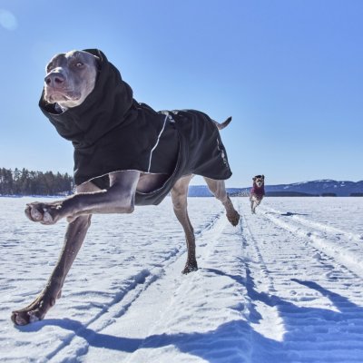 Zoom bild av hurtta hundtäcke täcke hund vintertäcke varmt dog coat winter black raven svart varmt återvunnet tyg
