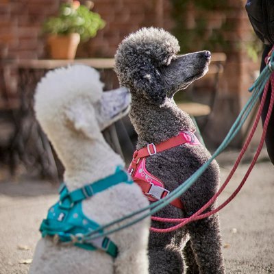 Zoom bild av hundkoppel justerbart repkoppel hurtta rött rosa vadderat handtag karbinhake eco beetroot rope leash adjustable