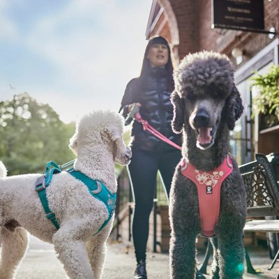 Zoom bild av hundkoppel justerbart repkoppel hurtta rött rosa vadderat handtag karbinhake eco beetroot rope leash adjustable