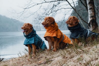 Zoom bild av Hurtta Monsoon regntäcke Blackberry