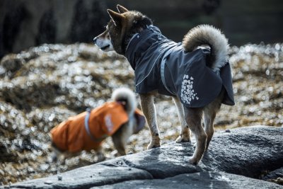 Zoom bild av Hurtta Monsoon regntäcke Blackberry