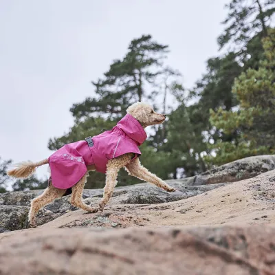 Zoom bild av hurtta monsoon ii eco hundtäcke regntäcke regnjacka hundjacka desert gul beige återvunnet regn