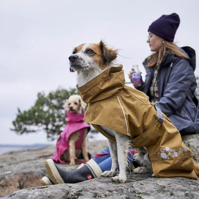 Zoom bild av hurtta monsoon ii eco hundtäcke regntäcke regnjacka hundjacka desert gul beige återvunnet regn