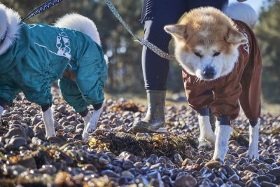 Zoom bild av Hurtta Mudventure Overall ECO