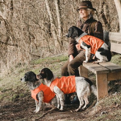 Zoom bild av hundväst jaktväst hund reflex orange hurtta