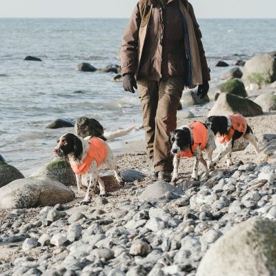 Zoom bild av hundväst jaktväst hund reflex orange hurtta