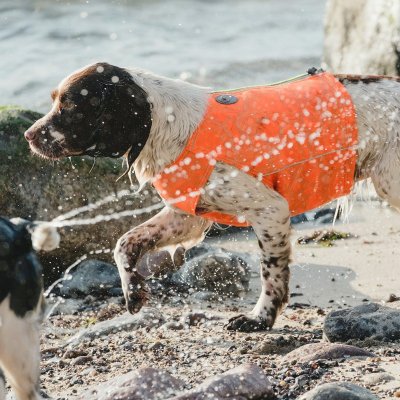 Zoom bild av hundväst jaktväst hund reflex orange hurtta