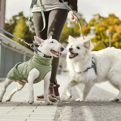 Zoom bild av hurtta razzle dazzle midlayer mellanlagerjacka hundjacka rosa röd vändbar fleece mellanjacka hund hundjacka mjuk justerbar valpj