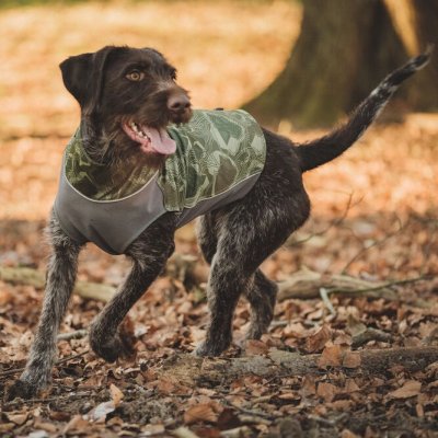 Zoom bild av hundväst jaktväst hund grön kamouflage hurtta