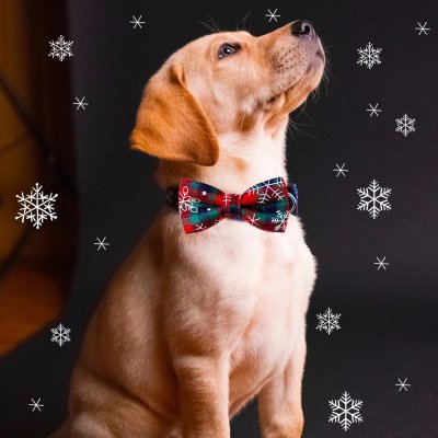 Zoom bild av julfluga julrosett hundfluga julhund julaccessoar hund jul halsbandsfluga rutig julig