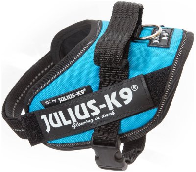 Zoom bild av Julius K9 IDC Powerharness Aquamarine