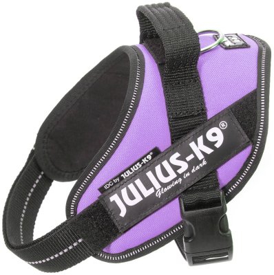 Zoom bild av Julius K9 IDC Powerharness Lila