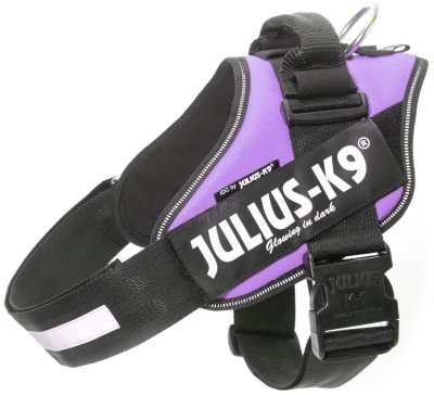 Zoom bild av Julius K9 IDC Powerharness Lila