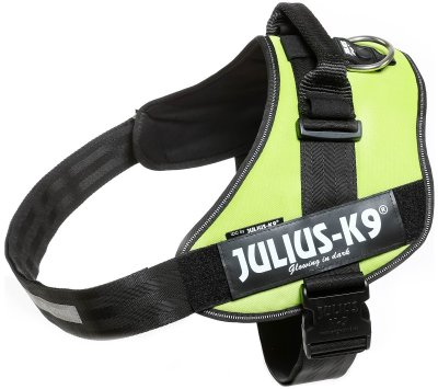 Zoom bild av Julius K9 IDC Powerharness Neongrön