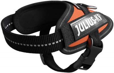 Julius K9 IDC Powerharness UV-orange