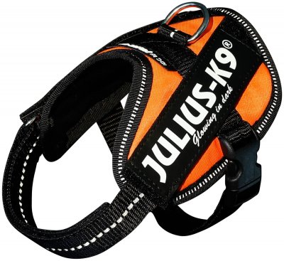 Zoom bild av Julius K9 IDC Powerharness UV-orange