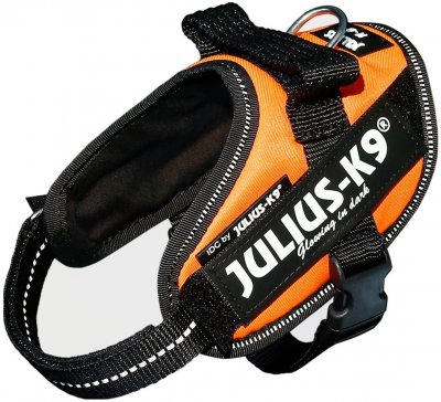 Zoom bild av Julius K9 IDC Powerharness UV-orange