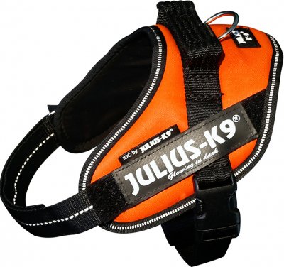 Zoom bild av Julius K9 IDC Powerharness UV-orange