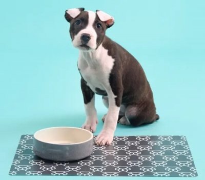 Zoom bild av Keramikskål Grå med benmotiv