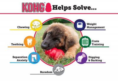 Zoom bild av Kong Extreme Svart