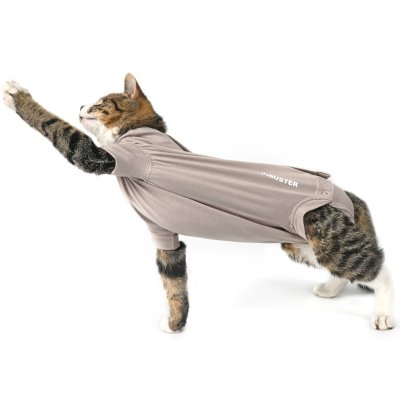 Zoom bild av Buster Body Suit Step’n Go kattbody, gråbeige