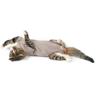 Zoom bild av Buster Body Suit Step’n Go kattbody, gråbeige