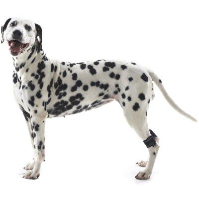 Zoom bild av Kruuse Rehab Benviktmanschetter