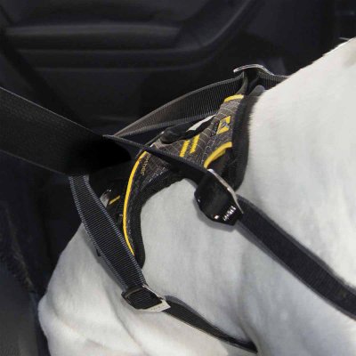 Zoom bild av Kurgo Impact Seatbelt Harness Bilbälte Svart