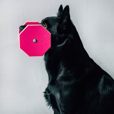 Zoom bild av LG Apport Stor Larz Glitterz 14 x 2,5 x 12 cm Cerise