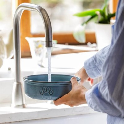 Zoom bild av Mason Cash Keramikskål Reactive Paw Blå pet bowl keramik hundskål kattskål vattenskål matskål blågrå stilren i hemmet tidlös blå