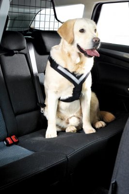 Zoom bild av MIMSafe Allsafe Harness