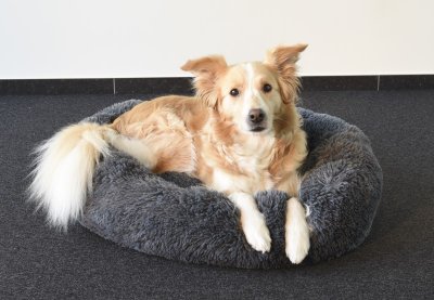 Zoom bild av Mjuk rund Kremsbädd grå, flera storlekar